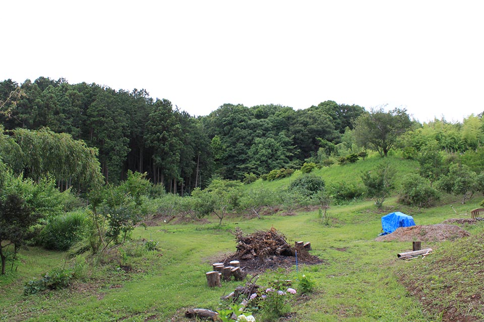 里山ベリー園