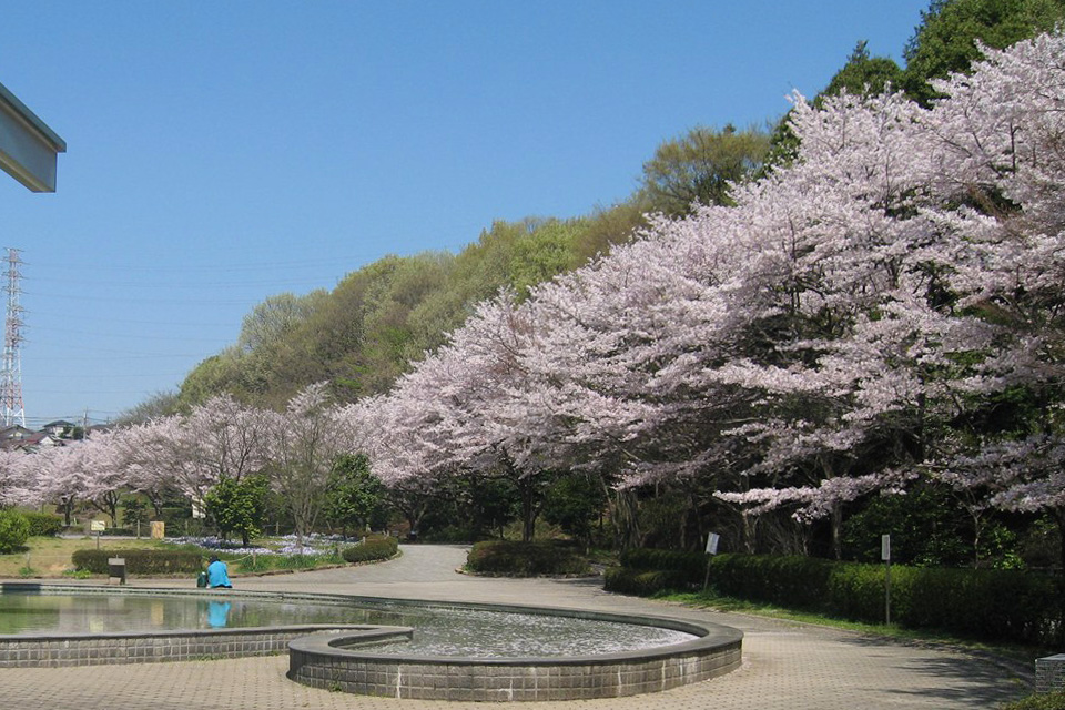 芹ヶ谷公園