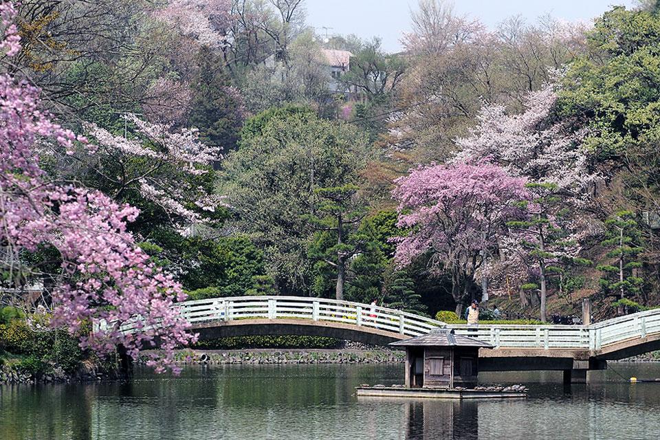 薬師池公園