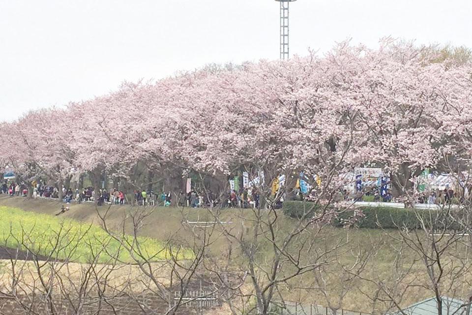 尾根緑道