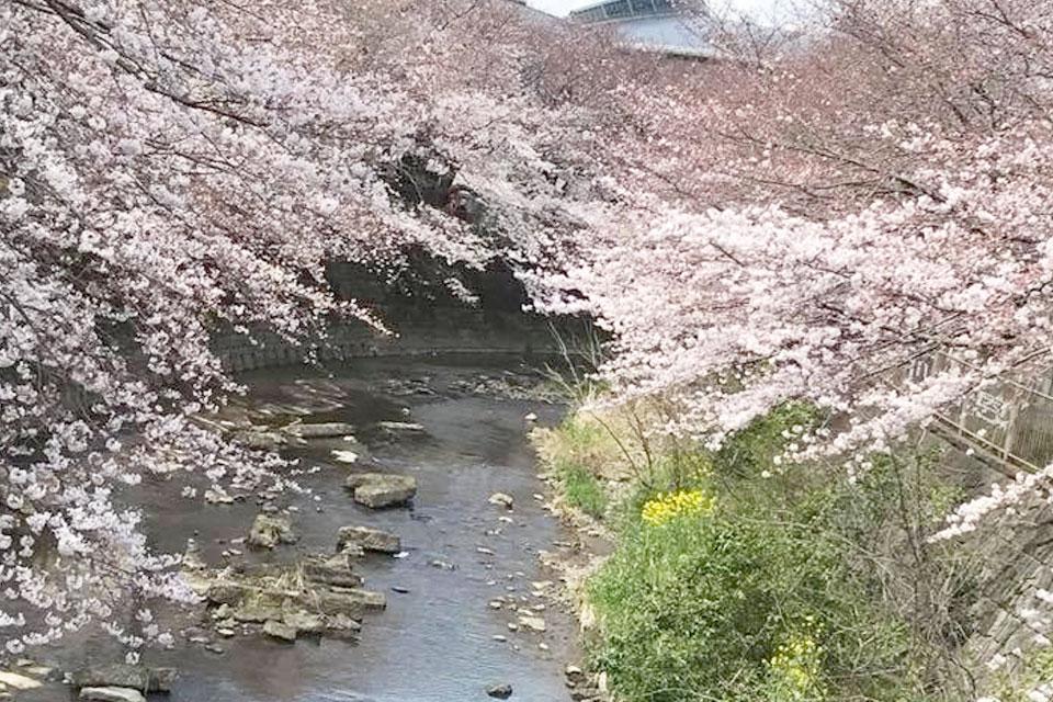 恩田川