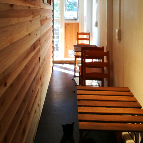 いぬねこ café Lua _写真2