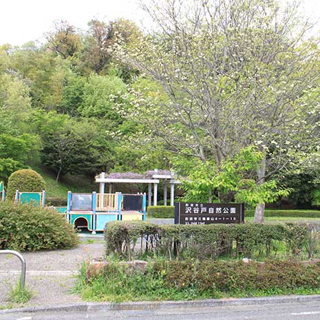 沢谷戸自然公園_写真1