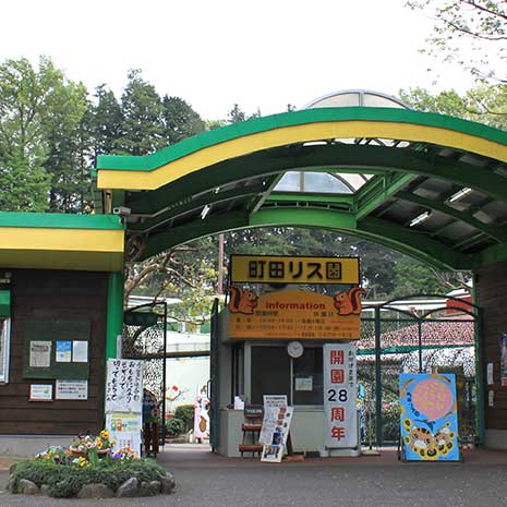 町田リス園_写真1