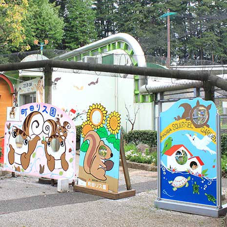 町田リス園_写真2
