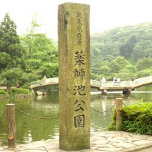 薬師池公園_写真1