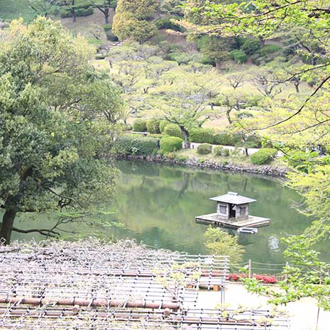 薬師池公園_写真2