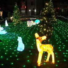 町田シバヒロウィンターフェスティバル2017-2018 イルミネーション