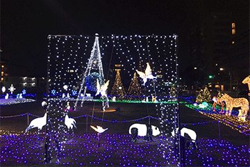 町田シバヒロウィンターフェスティバル2017-2018 イルミネーション