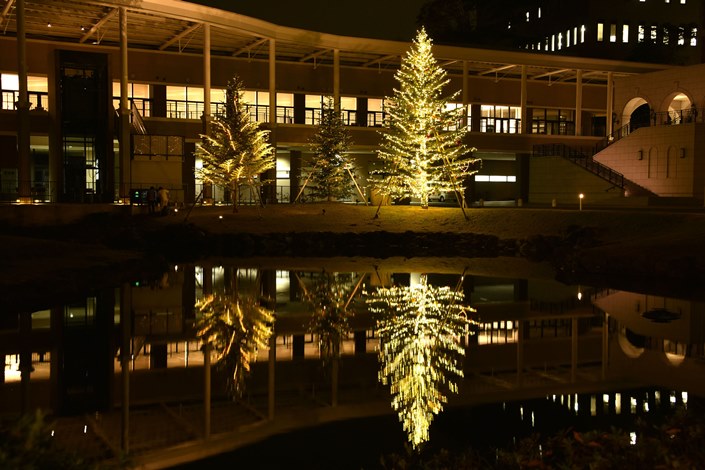 玉川学園クリスマスツリー