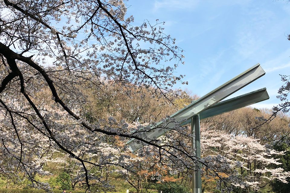 180326 町田お花見2018