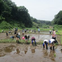 親子で田植え体験