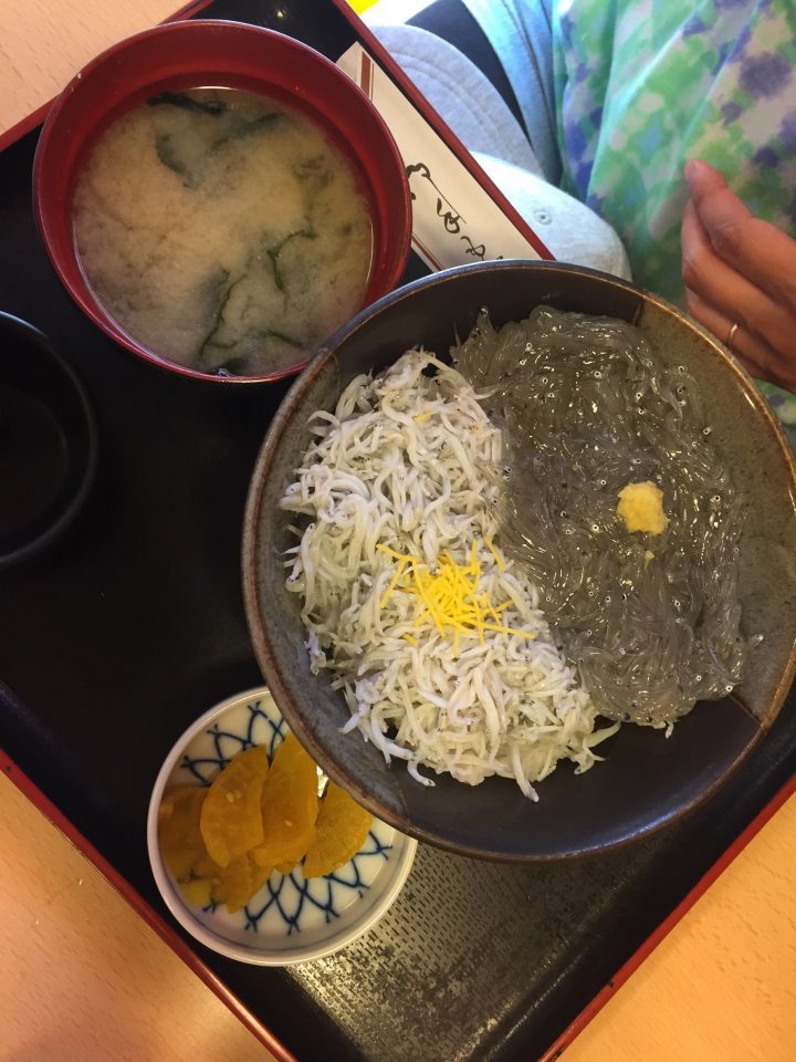 片瀬江ノ島 しらす丼