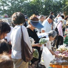 日曜朝市_写真1