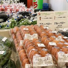 東急直売_写真1