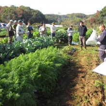 町田市農業研修秋野菜講評懇談会