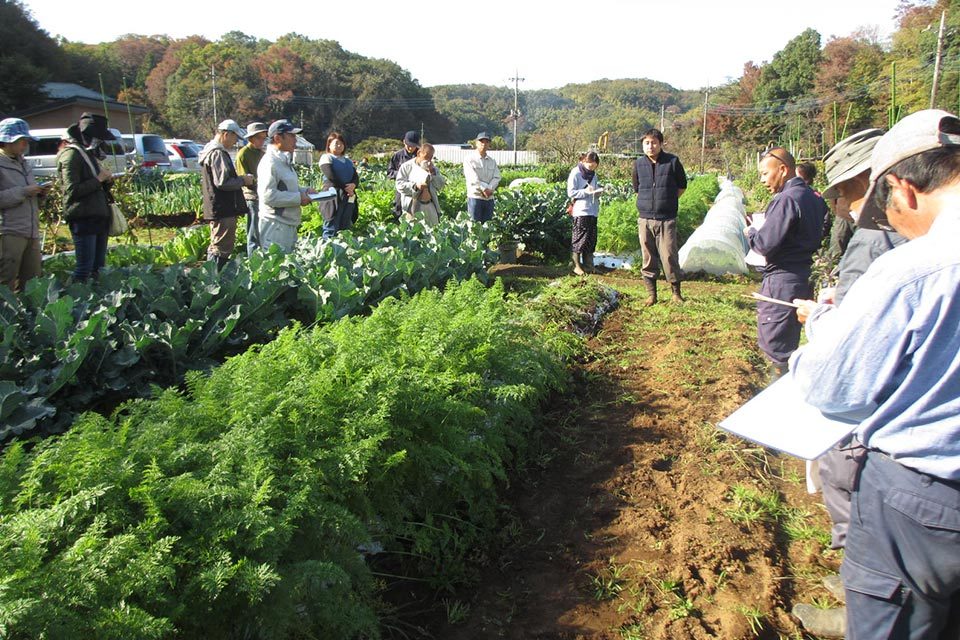 町田市農業研修秋野菜講評懇談会
