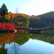 薬師池 紅葉まつり_写真1
