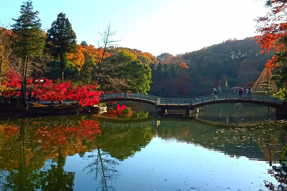 薬師池 紅葉まつり_写真1
