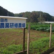 町田市農業研修農場