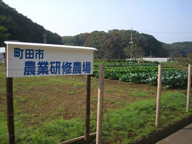町田市農業研修農場
