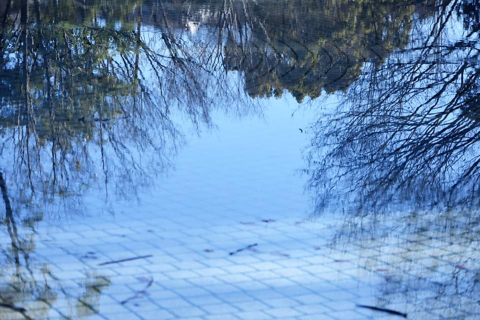 まちフォト_芹ヶ谷公園の噴水_写真3